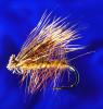 Caddis