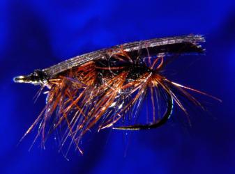 Early Black Caddis Early Black Caddis-16