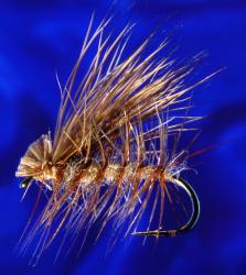 Hair W. Caddis Tan-14 Hair W. Caddis Tan-14