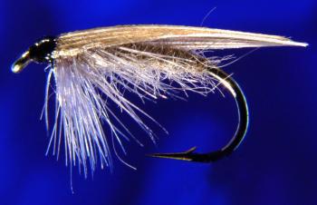 Grey Tent W. Caddis 