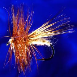 Tan Caddis-14 Tan Caddis-14