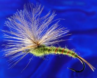 Mayfly CDC Parachute olive-14 Mayfly CDC Parachute olive-14