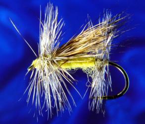 Michigan Stonefly 