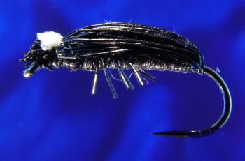 Deckon Beetle Black Deckon Beetle Black-12
