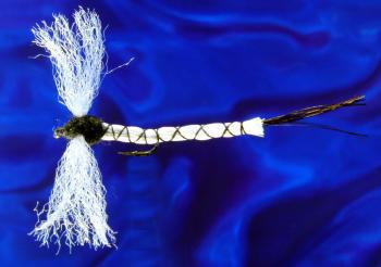 Gr. Drake Coffin Fly-10 Gr. Drake Coffin Fly-10
