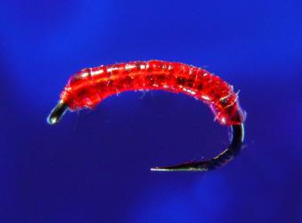 Bloodworm-18 Bloodworm-18