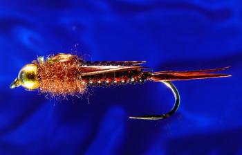 G.H. Stone Fly Brown -8 G.H. Stone Fly Brown -8