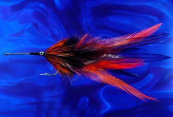 Black & Orange Black & Orange