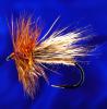 Cinnamon Caddis Cinnamon Caddis-14