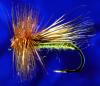 Olive Caddis-14 Olive Caddis-14