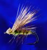 Hair W. Caddis Green-16 Hair W. Caddis Green-16
