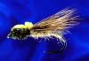 Balloon Caddis 