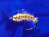 Gold Head Tan Pupa-14 Gold Head Tan Pupa-14