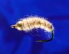 Gold Head Cinn. Pupa-14 Gold Head Cinn. Pupa-14
