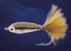Glass Minnow-2 Glass Minnow-2