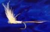 WS Mayfly WS Mayfly #8