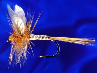 6 pcs size 14 Ginger Quill 
